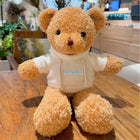 12" Plush Teddy Bear Sweatshirt