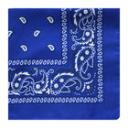 Paisley Hip-Hop Bandana
