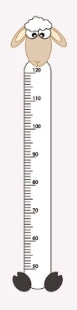Pvc Plastic Ruler