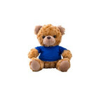 Plush Teddy Bear With T-Shirt