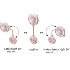 Portable Suction Cup Fan