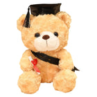 Dr. Hooded Bear Graduation Season Gift