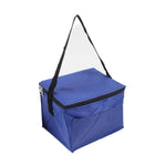 Portable Insulated Cooler Bag