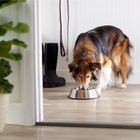 35 Oz Stainless Steel Pet Dog Bowl