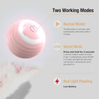 Silicone Interactive Ball Automatic Cat Toy