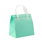 Non-woven Insulated Bag