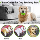 Dog Teething Toy Ball
