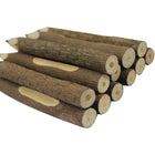 Biodegradable Pine Branches Ballpoint Pen