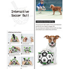 Pet Toy For Dogs - Football