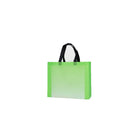 Laminated Non-Woven Bags