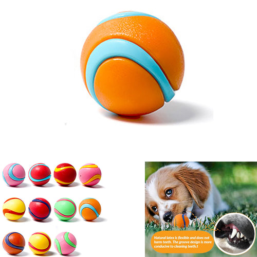 Dog Toy Ball
