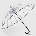 16 Bibs Clear Bubble Umbrella For Wedding Daily Use