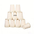 Disposable Ad Paper Cups Coffee Tea