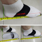Pvc Universal Slipper Sandals