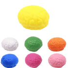 Medical Brain Model & Organ Stress Relief Toy