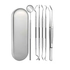 Portable Stainless Steel Toothpick Set - 6 Pieces