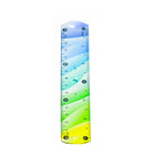 Colored Plastic Ruler