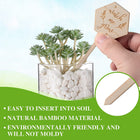 Wooden Plant Label Succulent Tag Garden Marker Plant Sign