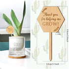 Wooden Plant Label Succulent Tag Plant Sign