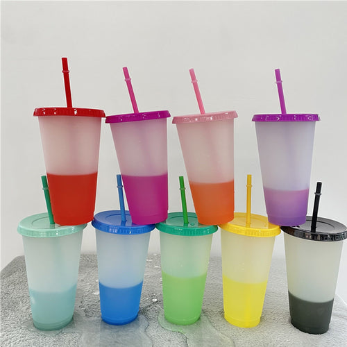 24 Oz. Sport Sipper Cup w/Straw & Lid