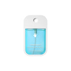 Hand Sanitizer Spray