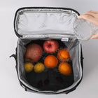 24L Picnic Cooler Backpack