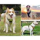 Reflective Night Dog Harness Leash Set
