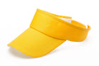 Sun Visor