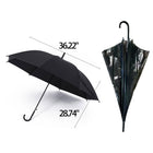 Transparent and Matte Umbrella