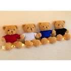 Dress Teddy Bear Plush Toys