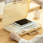 Handheld Plastic Document Bag