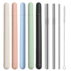 Stainless Steel Straw Set With Shell And Brush