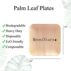 Square Palm Leaf Disposable Plates