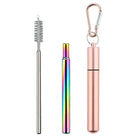 Portable Stainless Steel Telescopic Straw Set