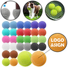 Multifunctional Exercise-Massage-Pet Tennis Balls