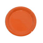 9" Paper Dinner Plates