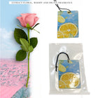 Custom Car Air Freshener