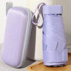 Portable Foldable Umbrella
