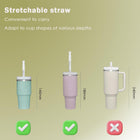 Expandable Stainless Steel Straw With Case