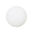 Ping Pong Ball