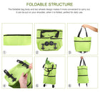 2 in 1 Lightweight Collapsible Shopping Cart