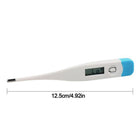 Electronic Digital Thermometer