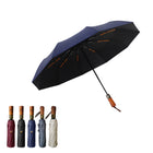 Automatic Folding Umbrella With 10 Ribs