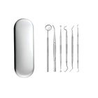 Portable Stainless Steel Toothpick Set - 6 Pieces