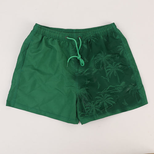 Beach Pants Men's Quick-Drying Three-Point Shorts