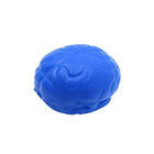 Medical Brain Model & Organ Stress Relief Toy