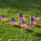 Plastic Flagpole Hand Waving Flag