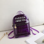 Transparent Backpack