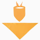 Polyester Full Color Triangle Pet Bandanna (25"x17"x17")