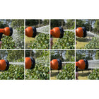 Garden Hose Nozzle Sprayer with 7 Watering Patterns
